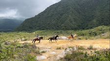 Ecuador-Highlands Riding Tours-Cloudforest & Crater Ride